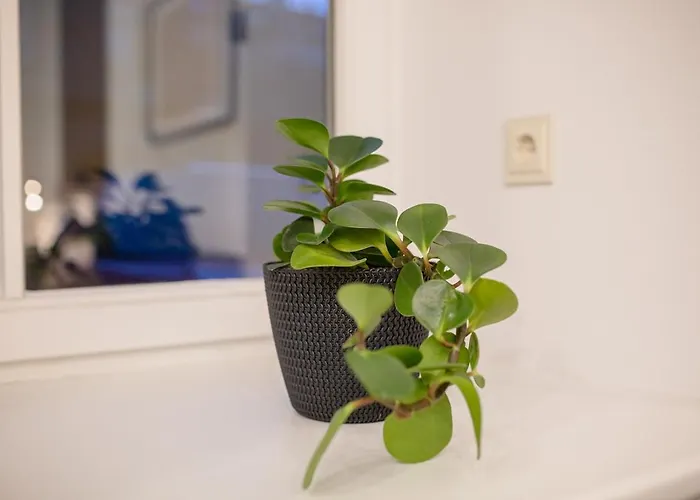 Lukiskes - Self Check-in And Parking Option アパート *